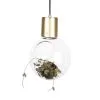 Globen Lighting Lampe à Suspension Mini Hole -Luminaires boutique 26583 01 01 b7967fe832